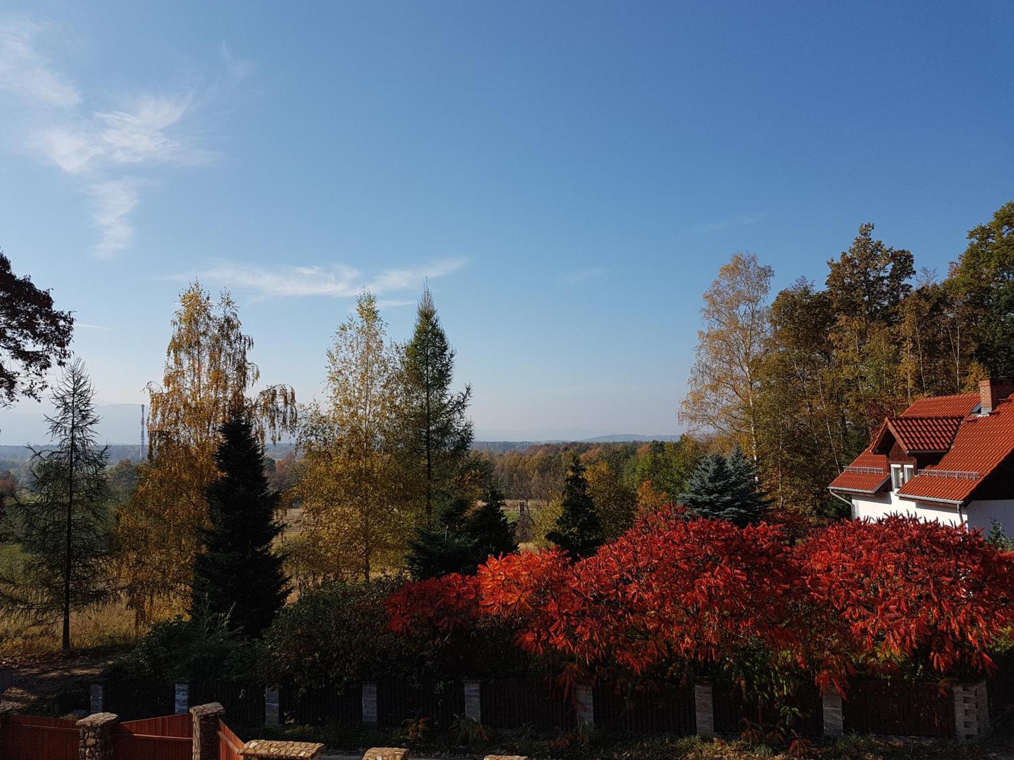Sarna Karkonosze Daire Bukowiec  Dış mekan fotoğraf
