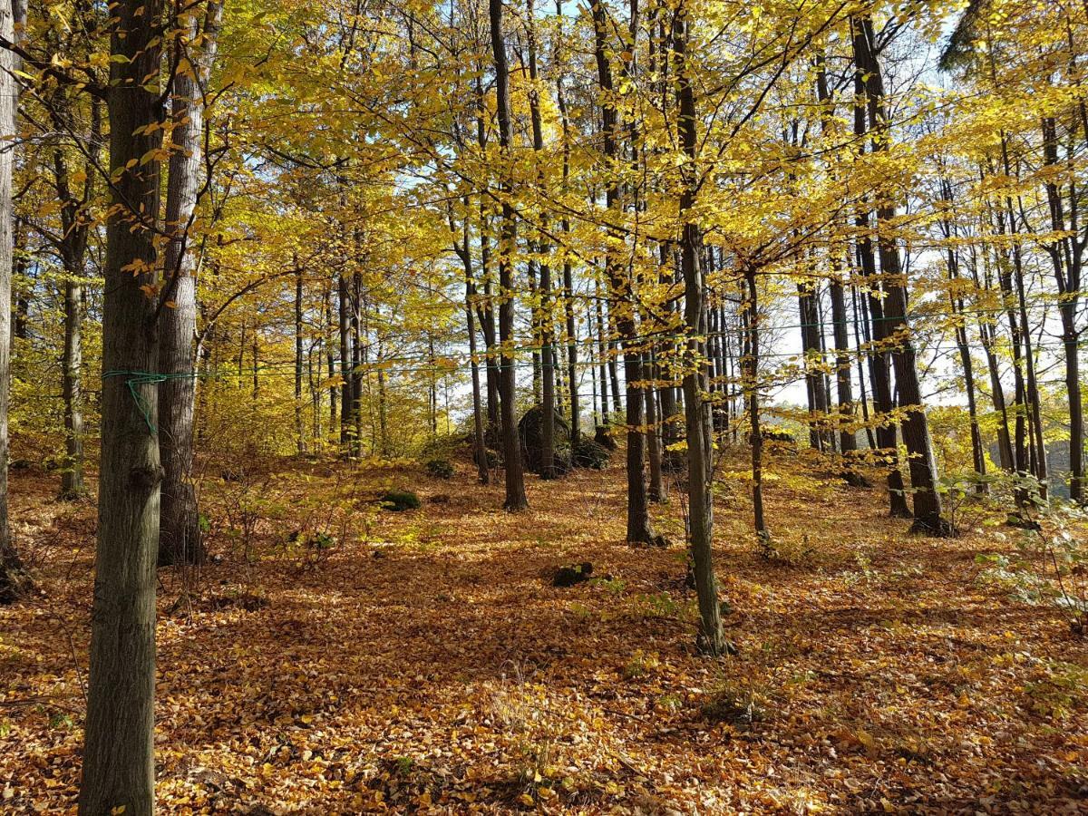 Sarna Karkonosze Daire Bukowiec  Dış mekan fotoğraf
