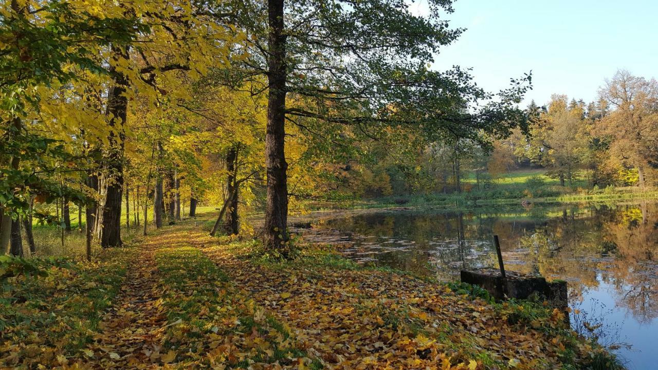 Sarna Karkonosze Daire Bukowiec  Dış mekan fotoğraf