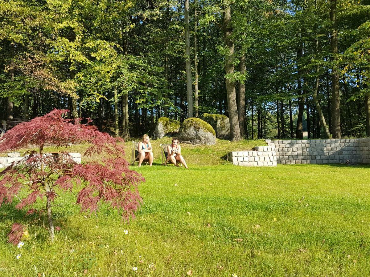Sarna Karkonosze Daire Bukowiec  Dış mekan fotoğraf